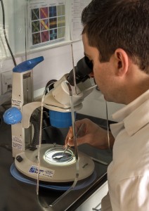 identification of asbestos fibres using a microscope